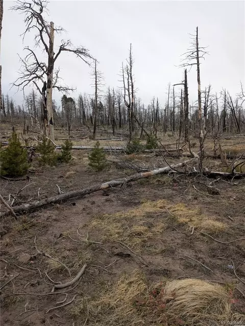 lot2296 Wohlstetter Loop, Fort Garland, CO 81133