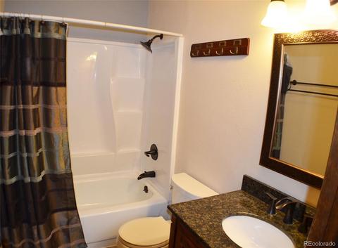 23 Buttermilk Ln, Bailey, CO 80421 photo 12