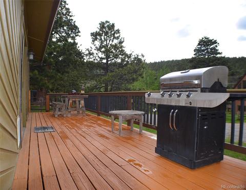23 Buttermilk Ln, Bailey, CO 80421 photo 23