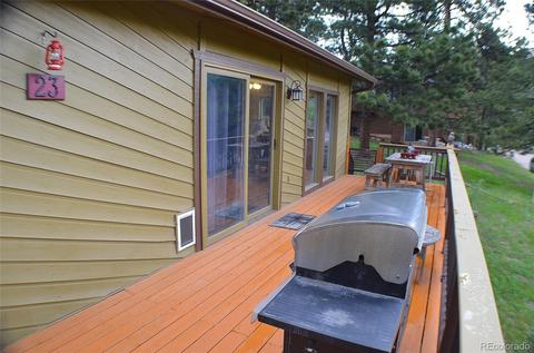 23 Buttermilk Ln, Bailey, CO 80421 photo 25