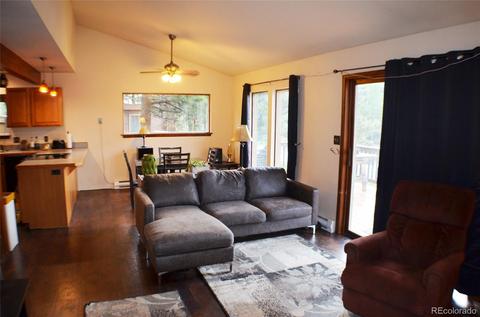 23 Buttermilk Ln, Bailey, CO 80421 photo 9