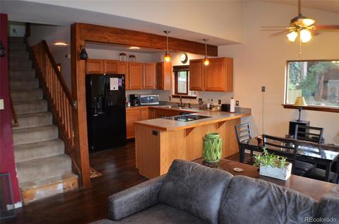 23 Buttermilk Ln, Bailey, CO 80421 photo 11