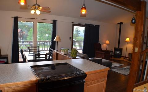 23 Buttermilk Ln, Bailey, CO 80421 photo 8