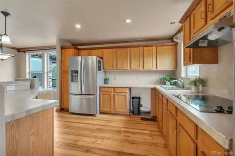 15659 Ouray Rd, Pine, CO 80470 photo 14