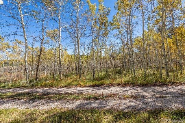 lot2 A 2b, Red Feather Lakes, CO 80545