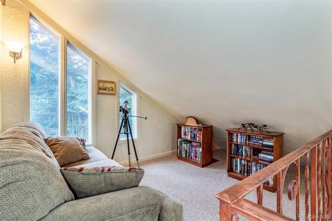 9470 S Warhawk Rd, Conifer, CO 80433 photo 20