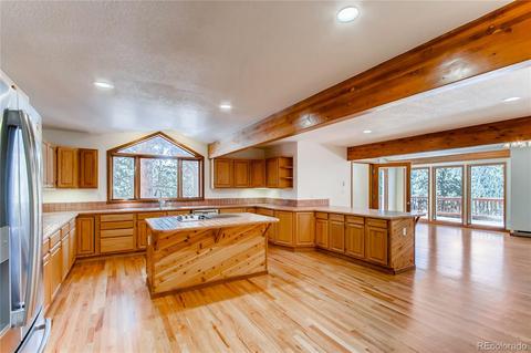2185 Woodside Dr, Pine, CO 80470 photo 10