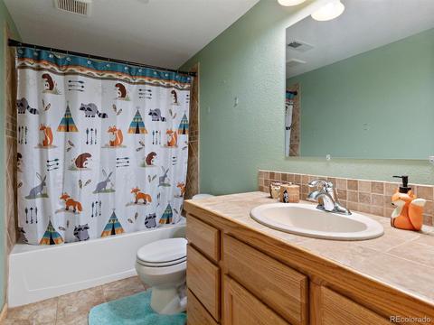33 Marys Ln, Bailey, CO 80421 photo 24
