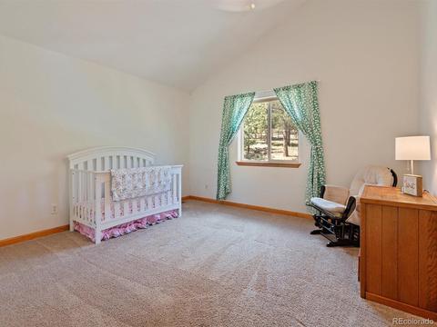 33 Marys Ln, Bailey, CO 80421 photo 18
