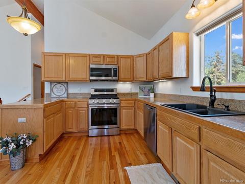 33 Marys Ln, Bailey, CO 80421 photo 13