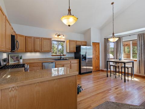 33 Marys Ln, Bailey, CO 80421 photo 11