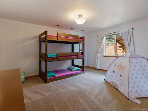 33 Marys Ln, Bailey, CO 80421 photo 23