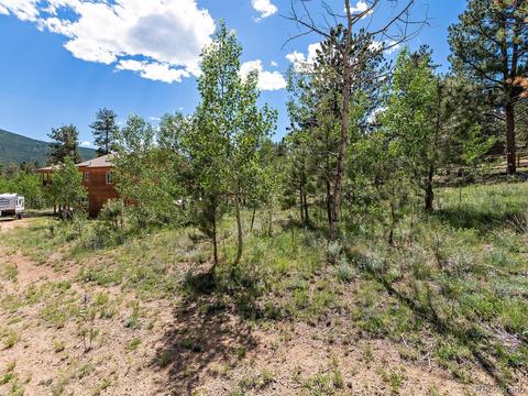 33 Marys Ln, Bailey, CO 80421 photo 31