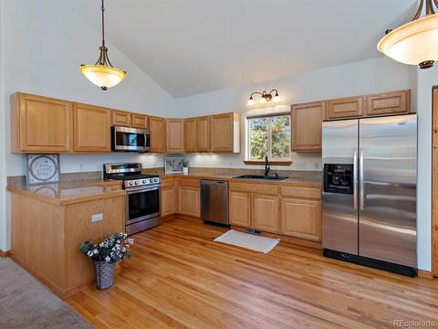 33 Marys Ln, Bailey, CO 80421 photo 12