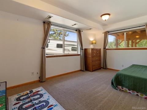33 Marys Ln, Bailey, CO 80421 photo 22