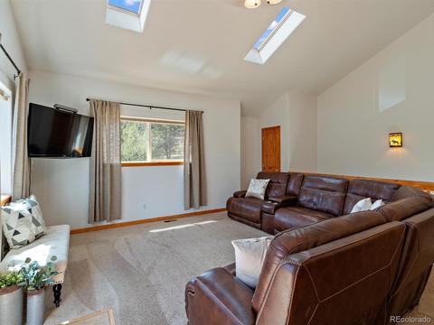 33 Marys Ln, Bailey, CO 80421 photo 8