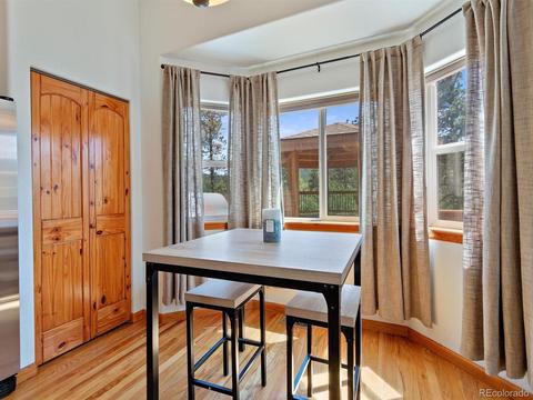 33 Marys Ln, Bailey, CO 80421 photo 14