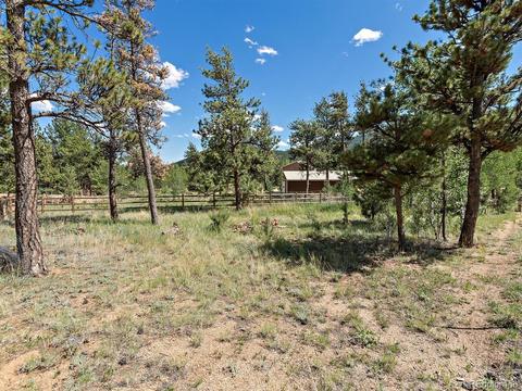 33 Marys Ln, Bailey, CO 80421 photo 32