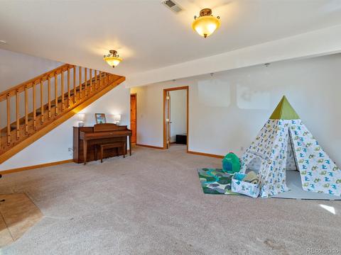 33 Marys Ln, Bailey, CO 80421 photo 21