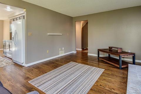 19554 Mitchell Dr, Denver, CO 80249 photo 22
