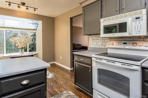 19554 Mitchell Dr, Denver, CO 80249 photo 19