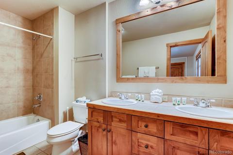 20 Rasor Ct, Dillon, CO 80435 photo 15