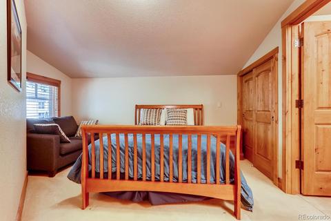 20 Rasor Ct, Dillon, CO 80435 photo 17