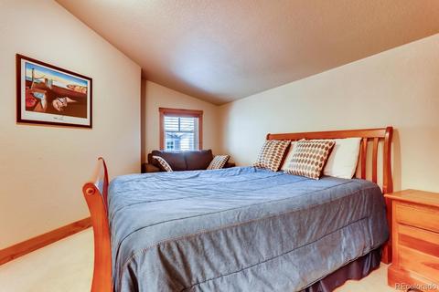 20 Rasor Ct, Dillon, CO 80435 photo 18