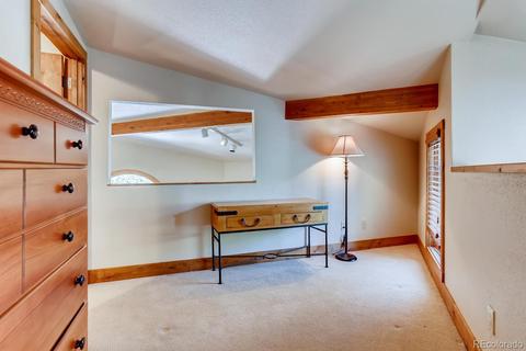 20 Rasor Ct, Dillon, CO 80435 photo 21