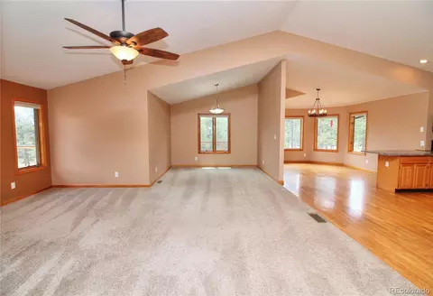 850 Hangmans Rd, Bailey, CO 80421 photo 10
