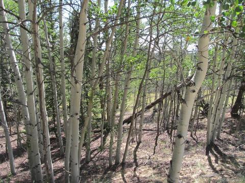 120 Muzzle Way, Como, CO 80432 photo 2
