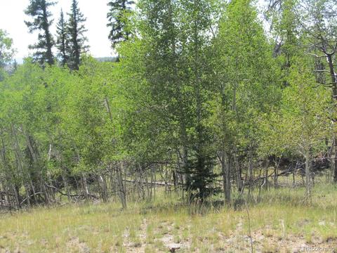 120 Muzzle Way, Como, CO 80432 photo 9