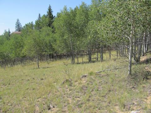 120 Muzzle Way, Como, CO 80432 photo 5