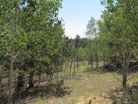 120 Muzzle Way, Como, CO 80432 photo 3