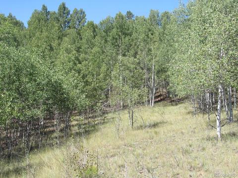 120 Muzzle Way, Como, CO 80432 photo 10