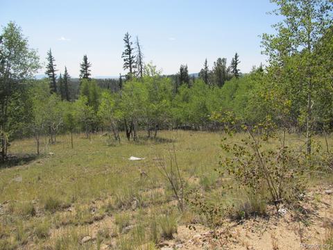 120 Muzzle Way, Como, CO 80432 photo 4