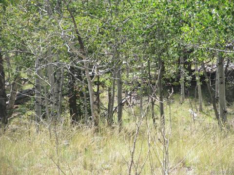 120 Muzzle Way, Como, CO 80432 photo 7