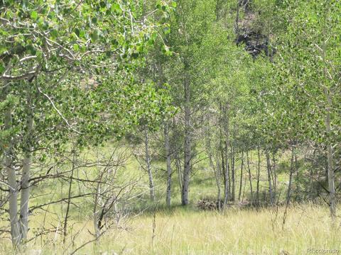 120 Muzzle Way, Como, CO 80432 photo 1