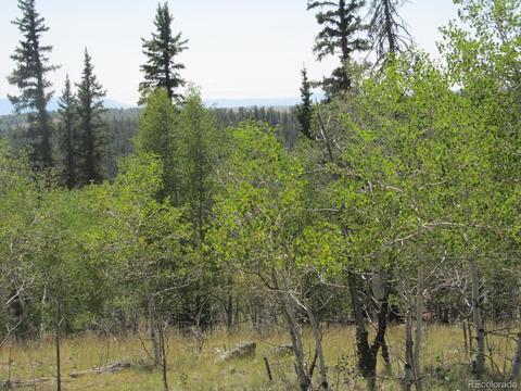 120 Muzzle Way, Como, CO 80432 photo 6