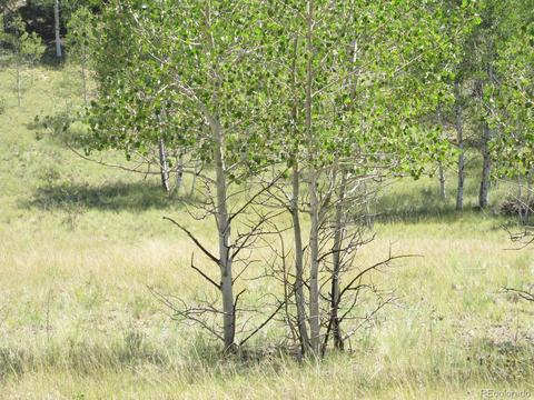 120 Muzzle Way, Como, CO 80432 photo 8