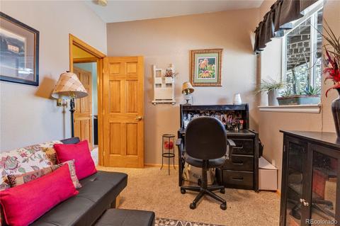 206 Dick Mountain Dr, Bailey, CO 80421 photo 27
