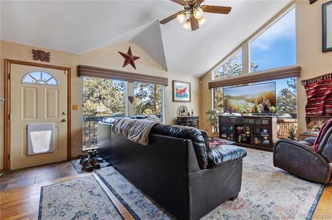 206 Dick Mountain Dr, Bailey, CO 80421 photo 5