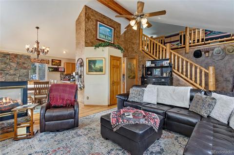 206 Dick Mountain Dr, Bailey, CO 80421 photo 7