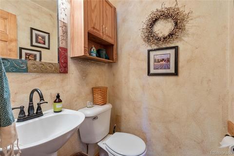 206 Dick Mountain Dr, Bailey, CO 80421 photo 18