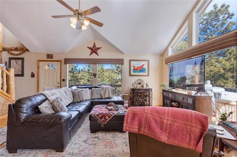 206 Dick Mountain Dr, Bailey, CO 80421 photo 6