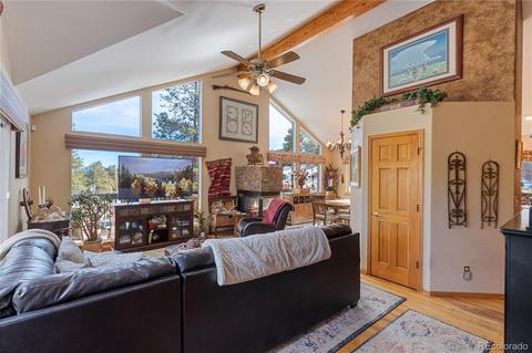 206 Dick Mountain Dr, Bailey, CO 80421 photo 1
