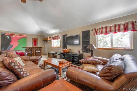 206 Dick Mountain Dr, Bailey, CO 80421 photo 22