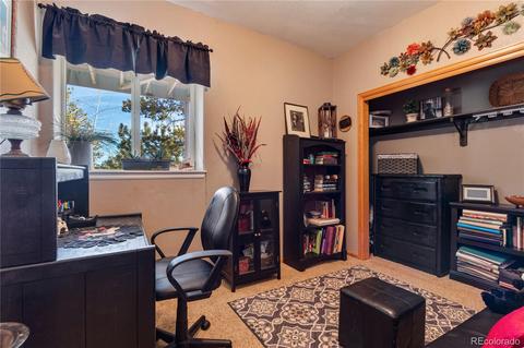 206 Dick Mountain Dr, Bailey, CO 80421 photo 26