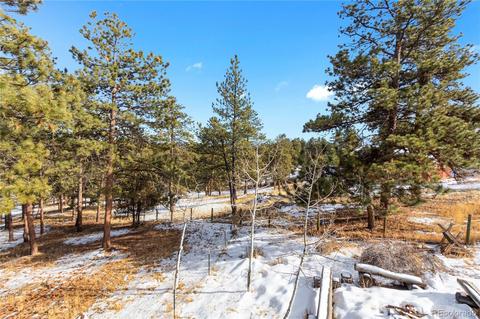 206 Dick Mountain Dr, Bailey, CO 80421 photo 3