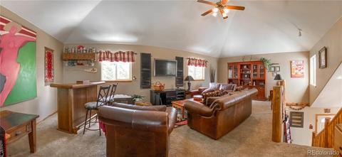 206 Dick Mountain Dr, Bailey, CO 80421 photo 19